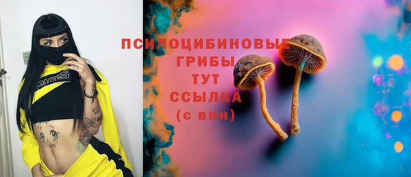 твердый Горняк