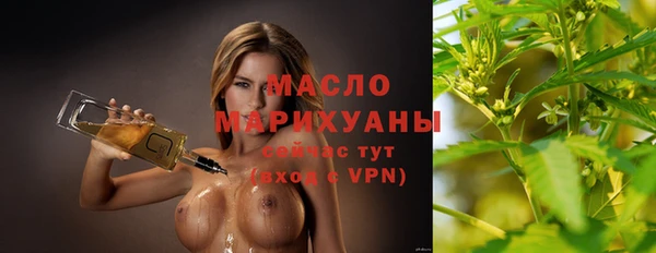 твердый Горняк
