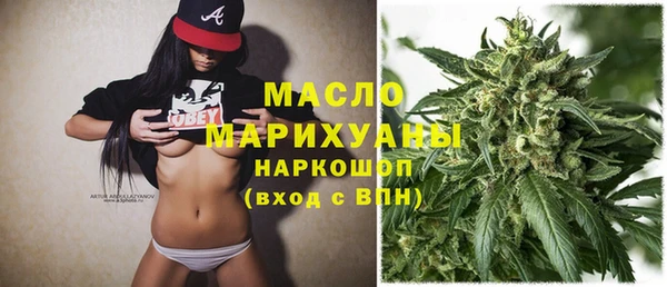 твердый Горняк
