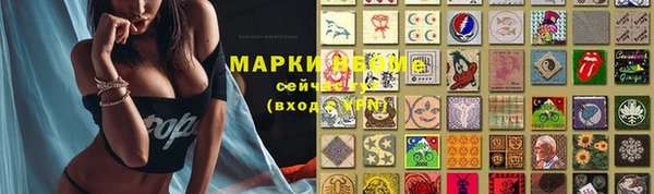 твердый Горняк