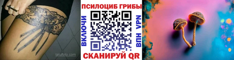 Купить закладки  Людиново  Галлюциногенные грибы Magic Shrooms 